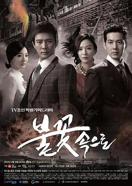 专业seo优化哪家好